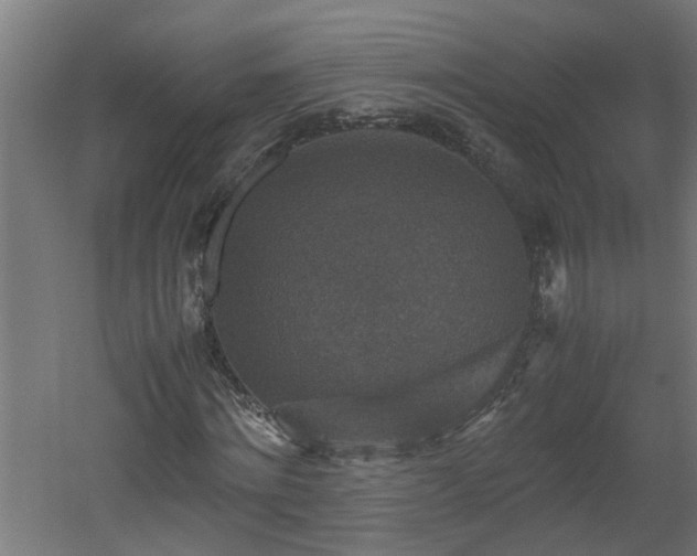 X0000060550868200511070918
