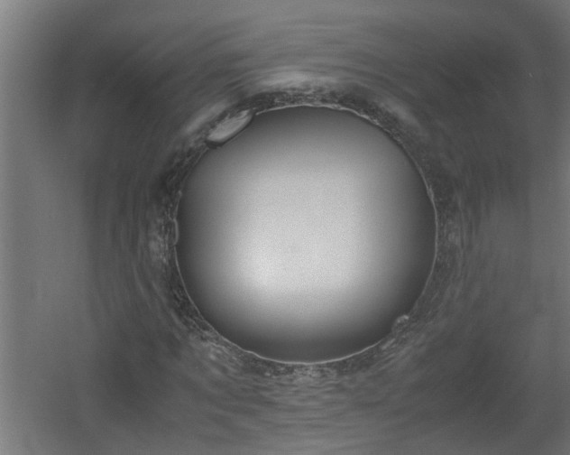 X0000060550869200511070918