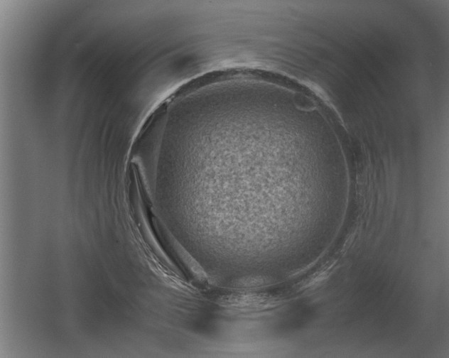 X0000060550879200511070918