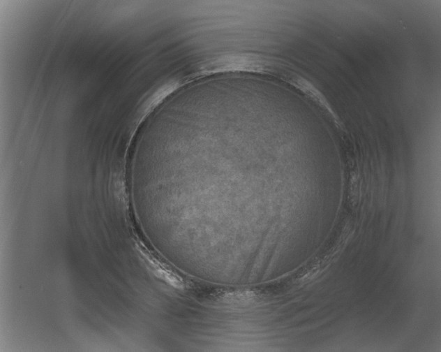 X0000060550882200511070918