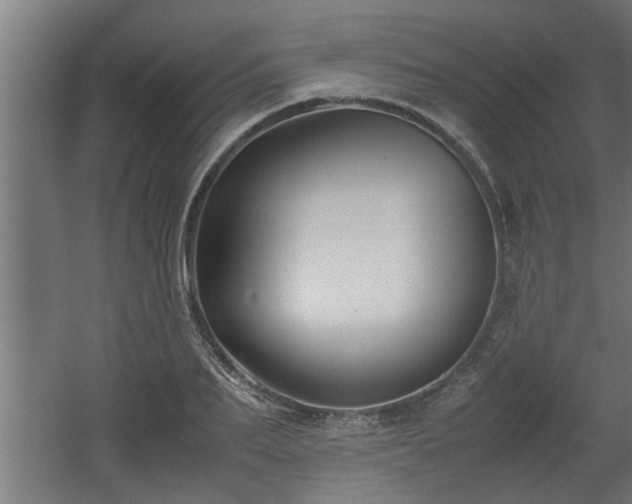 X0000060550887200511070918