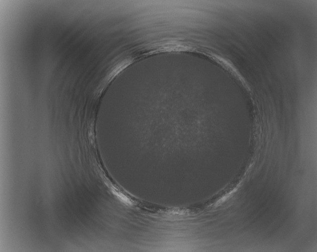 X0000060550889200511070918