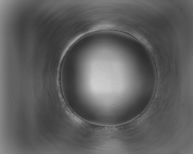 X0000060550912200511070918