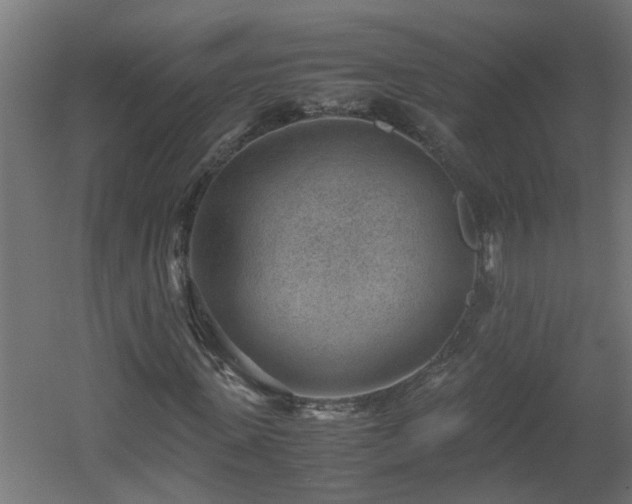 X0000060550915200511070917