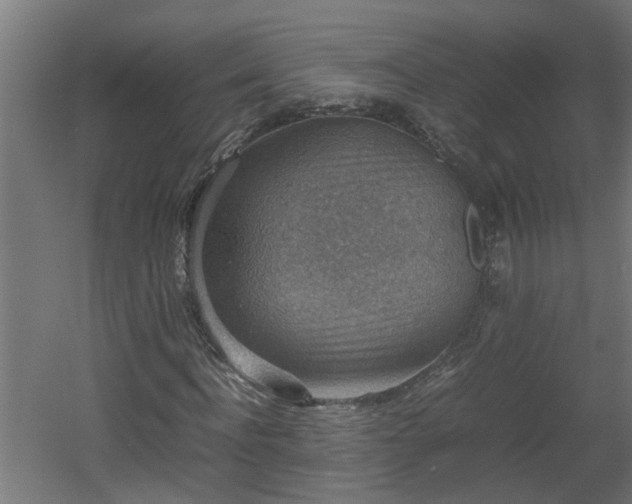 X0000060550916200511070917
