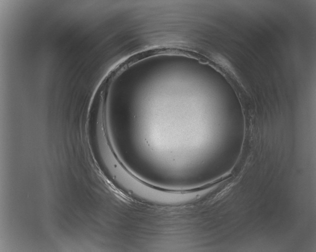 X0000060550924200511070917