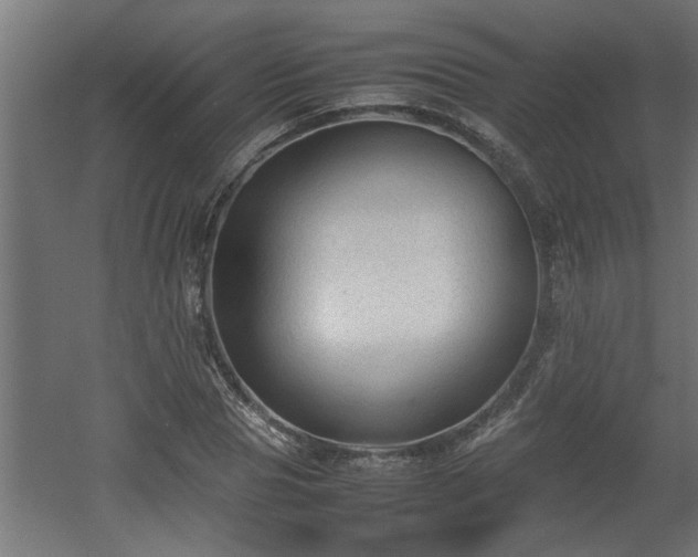 X0000060550929200511070917