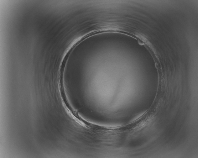 X0000060550941200511070917