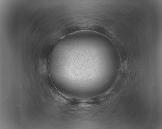 X0000060550963200511070917