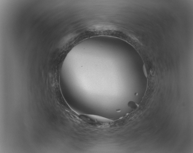 X0000060550965200511070917