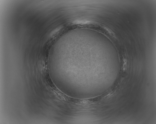 X0000060550966200511070917