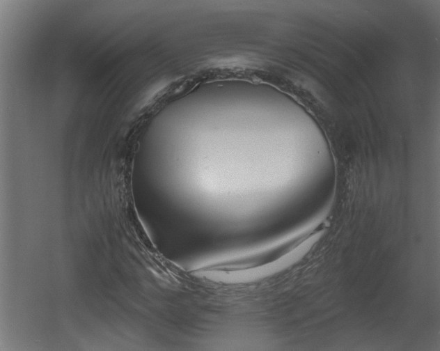 X0000060550968200511070917