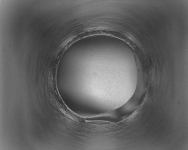 X0000060550969200511070917