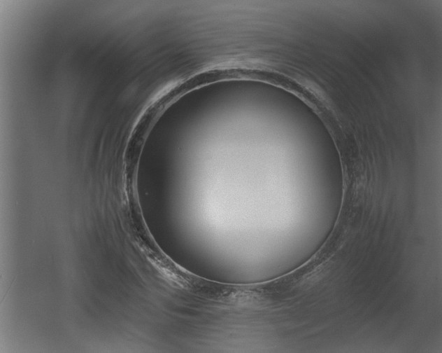 X0000060550974200511070917