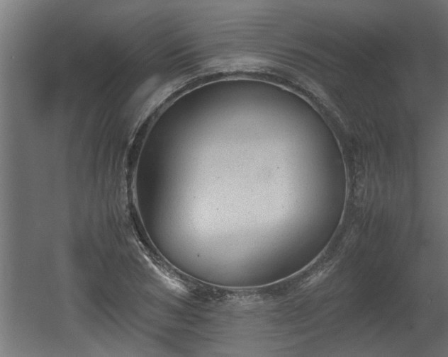 X0000060550978200511070917