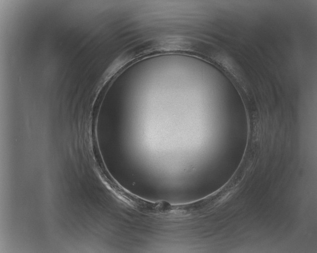 X0000060550986200511070916