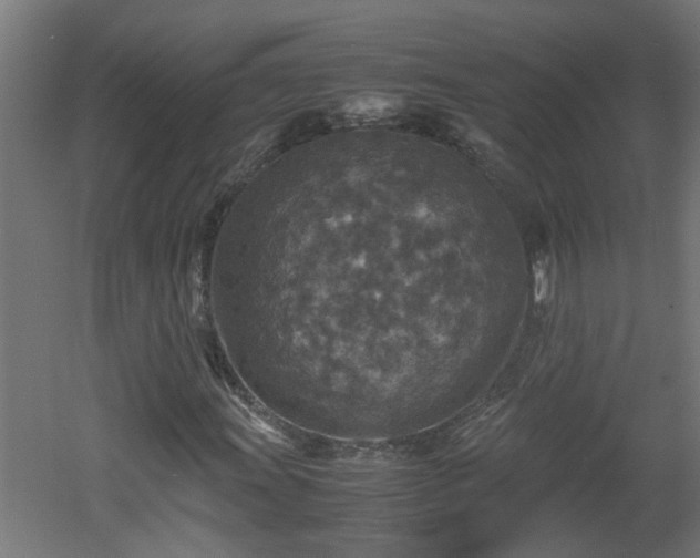 X0000060551011200511070915