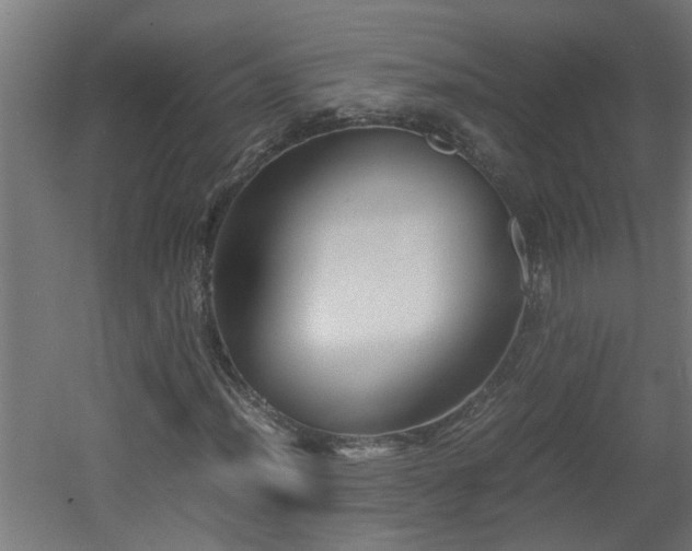 X0000060551012200511070915