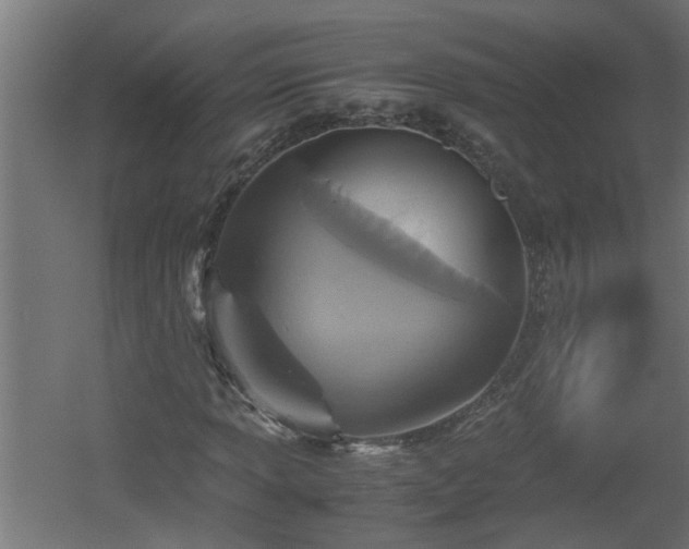 X0000060551013200511070915