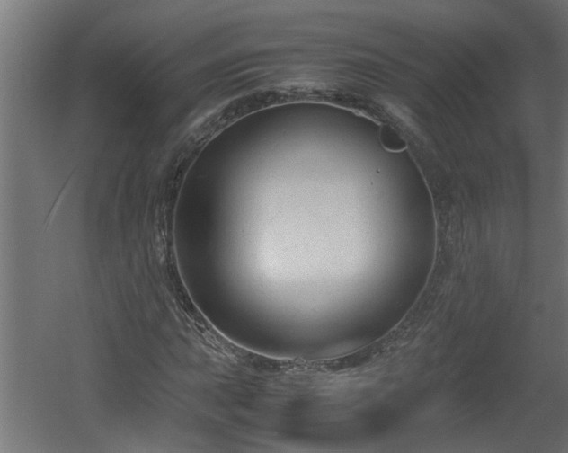 X0000060551015200511070915