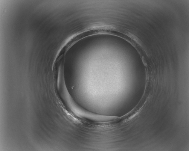 X0000060551022200511070915