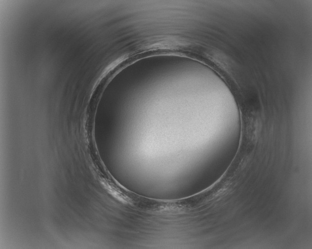X0000060551026200511070916