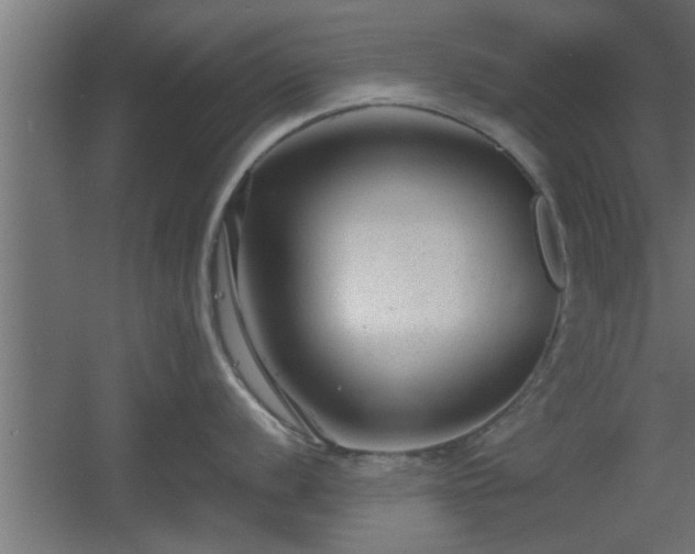 X0000060551056200511070916