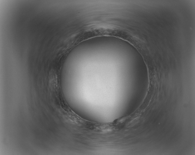 X0000060551061200511070915