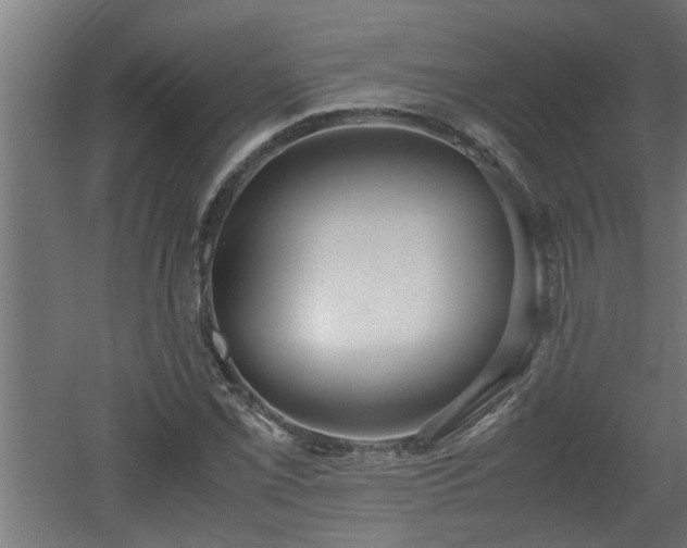 X0000060551069200511070915