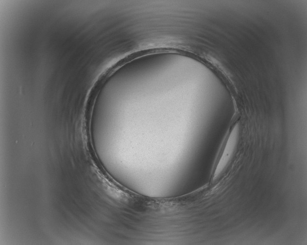 X0000060551072200511070915