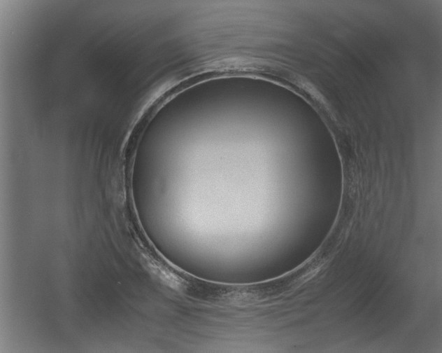 X0000060551075200511070915