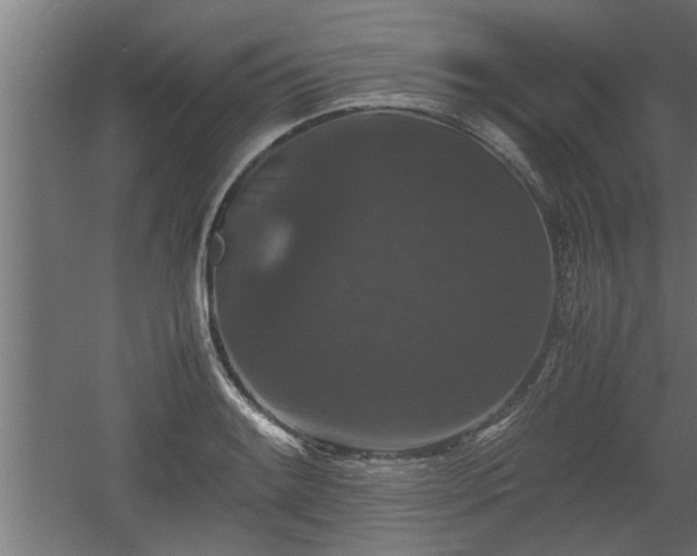 X0000060551084200511070915