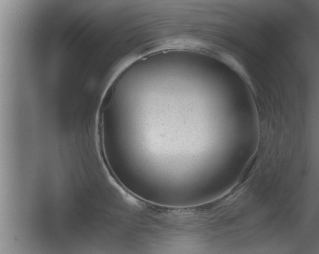 X0000060551103200511070914
