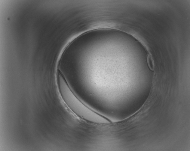 X0000060551104200511070914
