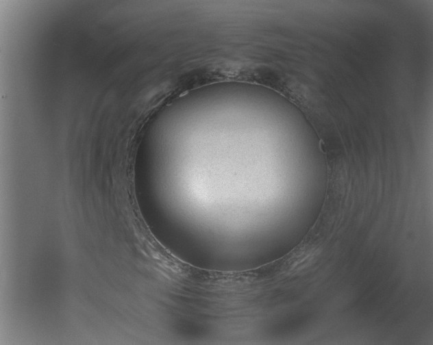 X0000060551105200511070914