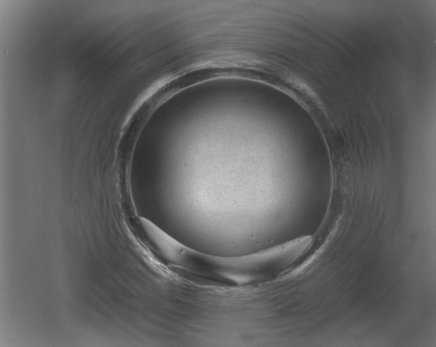 X0000060551114200511070914