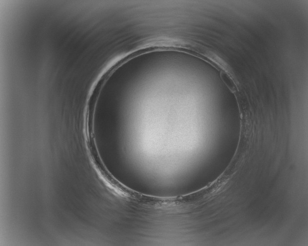 X0000060551128200511070914