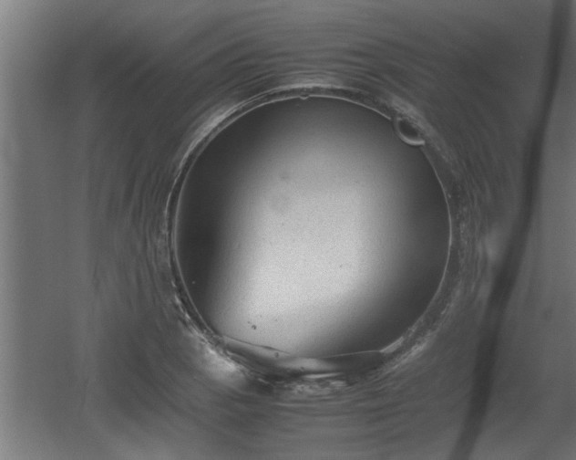 X0000060551129200511070914