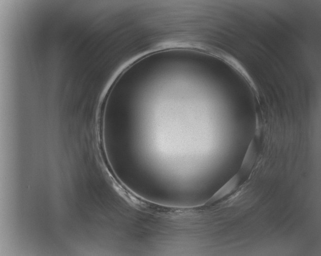 X0000060551148200511070914