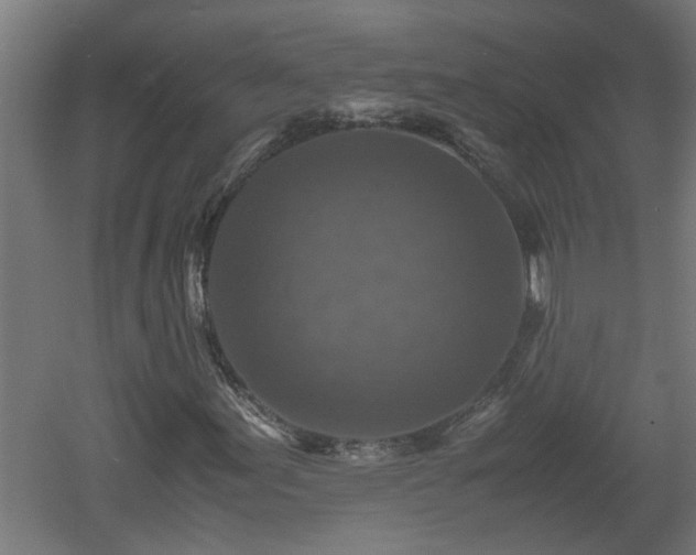 X0000060551155200511070914