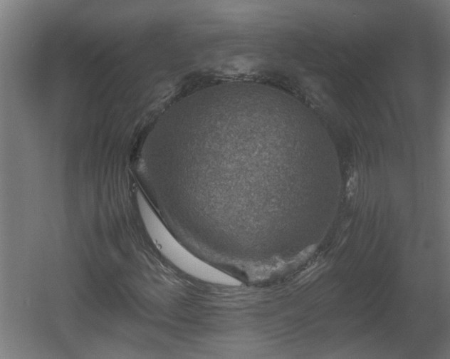 X0000060551156200511070914