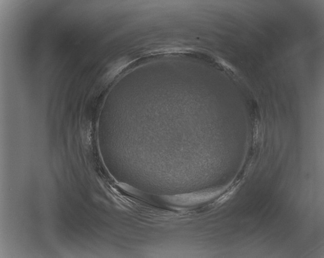 X0000060551161200511070913
