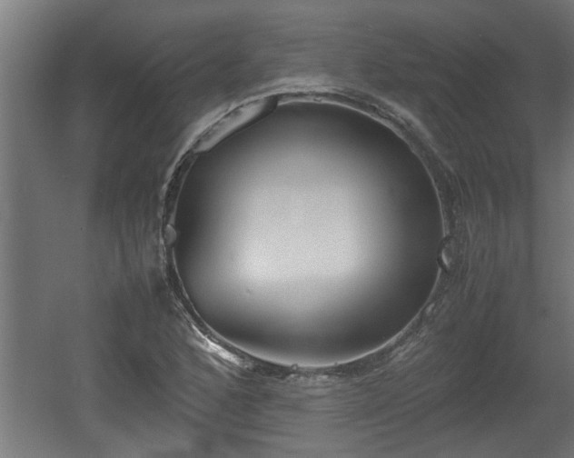 X0000060551168200511070913