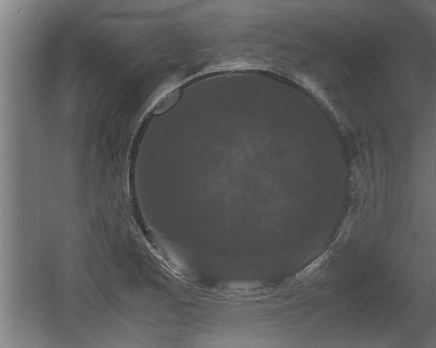 X0000060551173200511070913