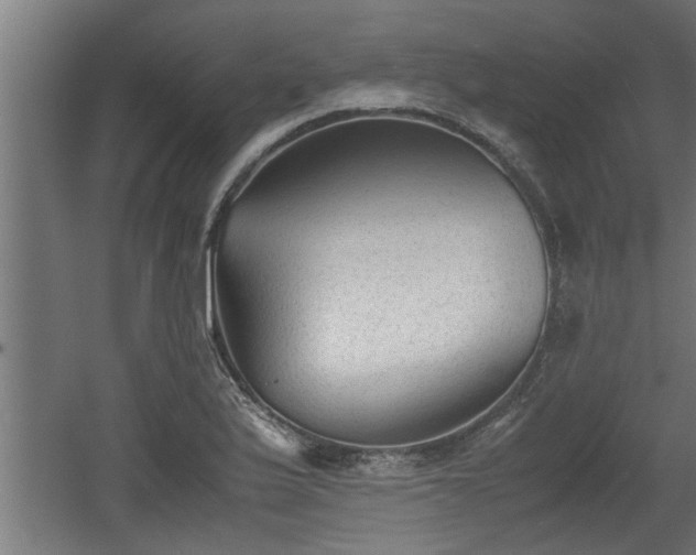 X0000060551175200511070913