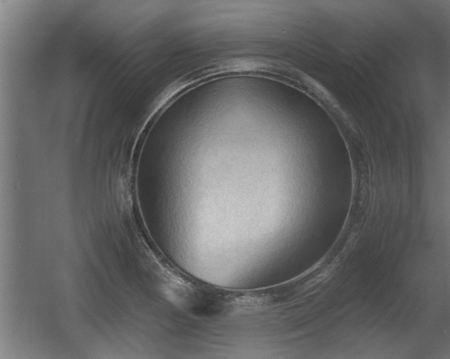 X0000060551178200511070913