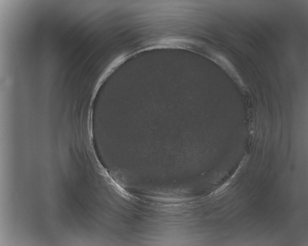 X0000060551180200511070913