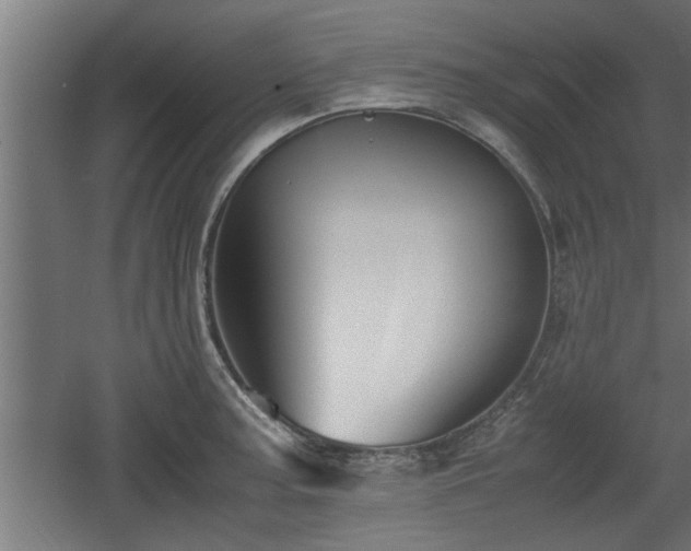 X0000060551187200511070913