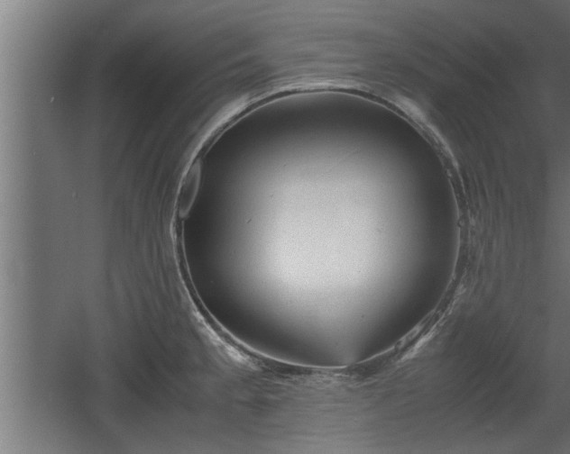 X0000060551189200511070913