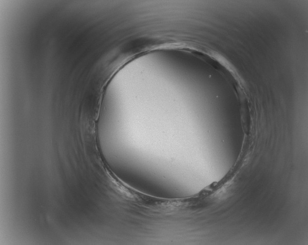 X0000060551193200511070913